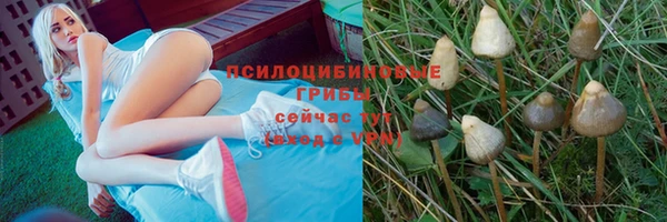 спиды Алзамай
