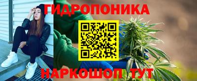 прущие грибы Конаково
