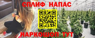 прущие грибы Конаково