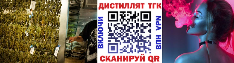 ТГК THC oil  KRAKEN онион  Карачаевск 