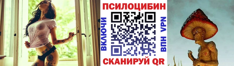 магазин  наркотиков  Карачаевск  Галлюциногенные грибы GOLDEN TEACHER 