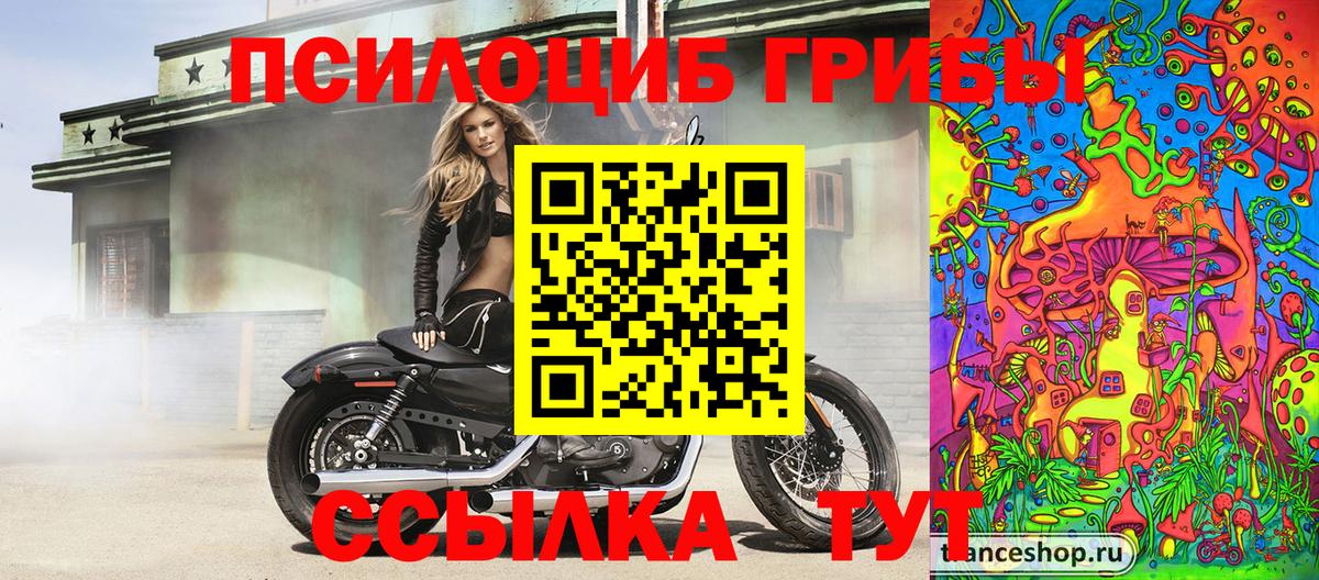 Меф мяу мяу Карачаевск